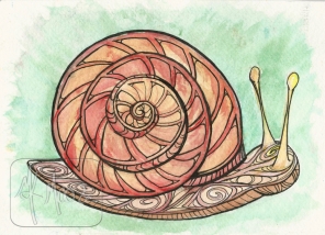 Little Snail - watercolor and pen 5x7