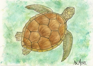 Deep Sea Turtle - watercolor and pen 5x7